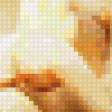 Предпросмотр схемы вышивки «Котик 2» (№119806)