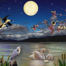 Схема вышивки «№119907»