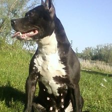 Схема вышивки «Клякса»