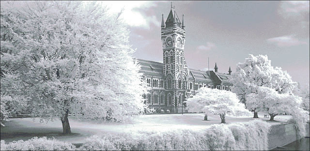 Чудесная зима - зима, дворец - оригинал
