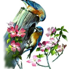 Схема вышивки «У гнезда»