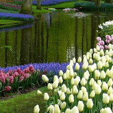 Схема вышивки «№120114»