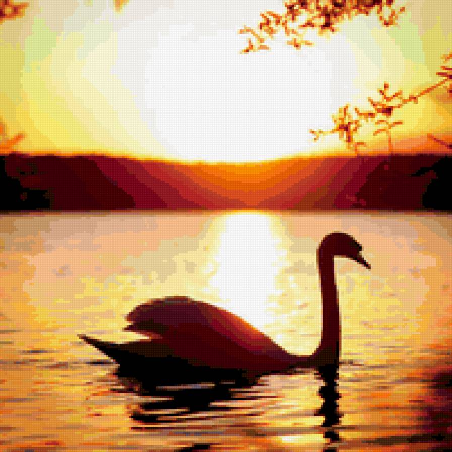 лебедь - лебедь, закат - предпросмотр