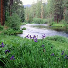 Схема вышивки «№120527»