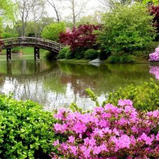 Схема вышивки «№120530»