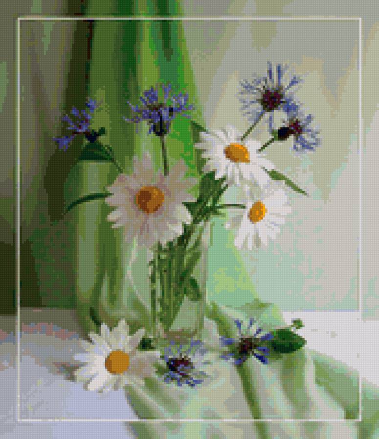 Ромашки - растения, ромашки, цветы - предпросмотр