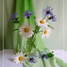 Схема вышивки «Ромашки»