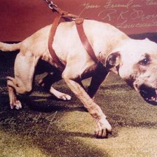 Схема вышивки «Чемпион Jeep»