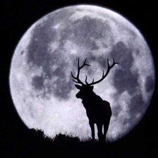 Схема вышивки «Полнолуние»