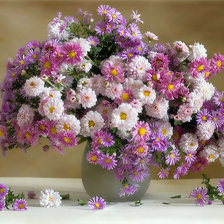 Схема вышивки «Хризантемы»