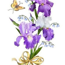 Схема вышивки «Ирисы и бабочка»