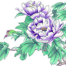 Схема вышивки «Сиреневые пионы»