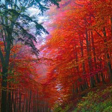 Схема вышивки «осень»