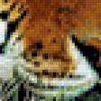 Предпросмотр схемы вышивки «Тигр» (№121234)