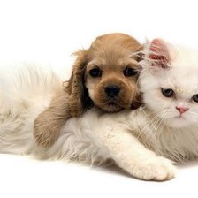 Схема вышивки «дружба»