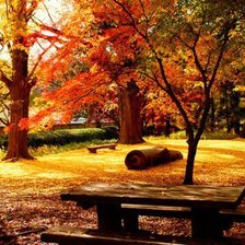 Схема вышивки «осень»