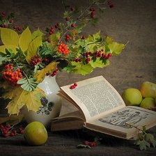 Схема вышивки «натюрморт»