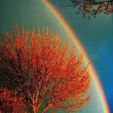 Схема вышивки «Радуга»