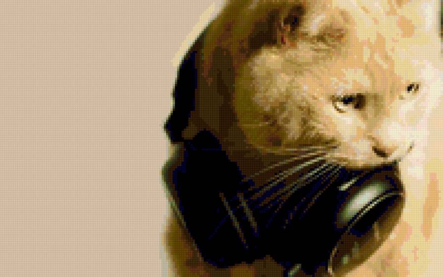 Киса в наушниках) - предпросмотр