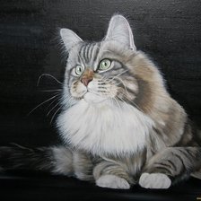 Схема вышивки «кот»