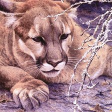 Схема вышивки «львица»