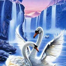 лебединая верность