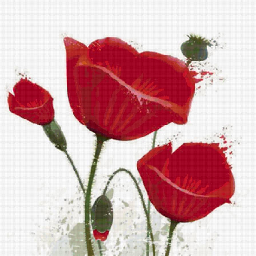 Очень красивые маки) - мак, маки - предпросмотр