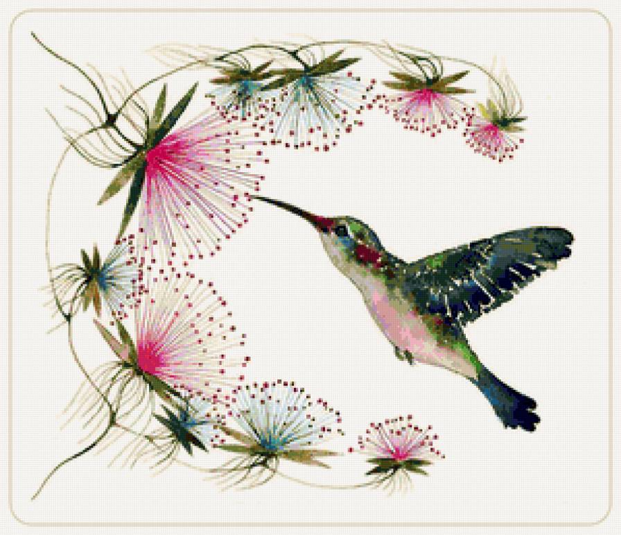 Серия "Птицы в узорах" - узоры, колибри, птицы - предпросмотр