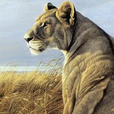 Схема вышивки «Львица. По картине художника.»