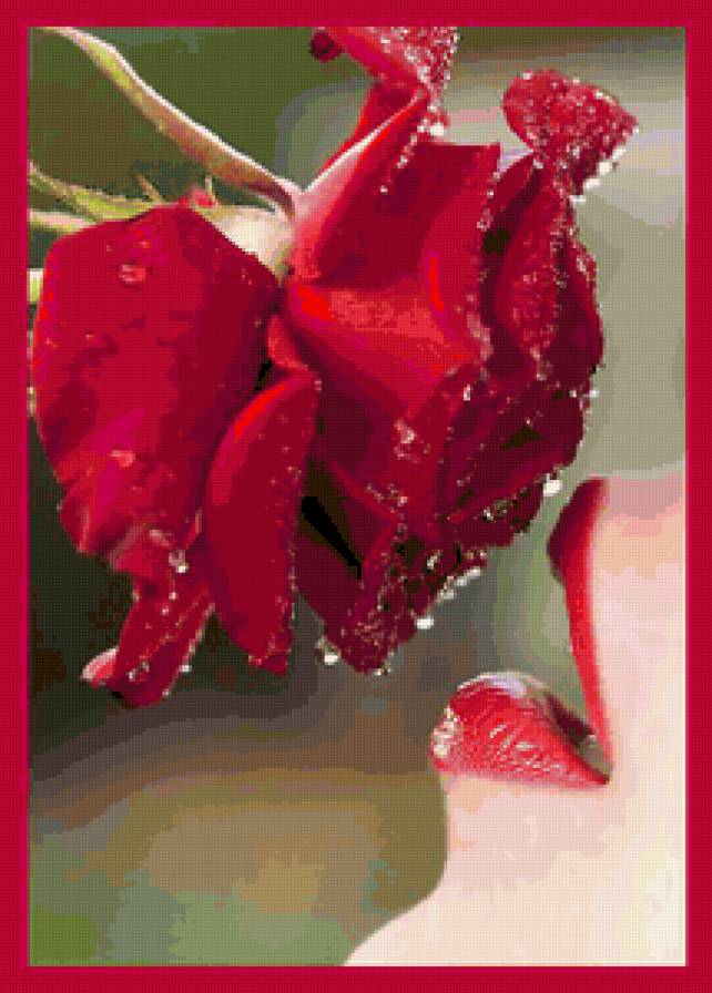 Розовые губы - губы, девушка, роза - предпросмотр