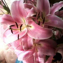 Схема вышивки «лилии»