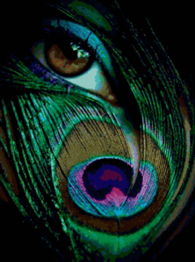 глаз - глаз, зелень, павлин, перо, романтика - предпросмотр