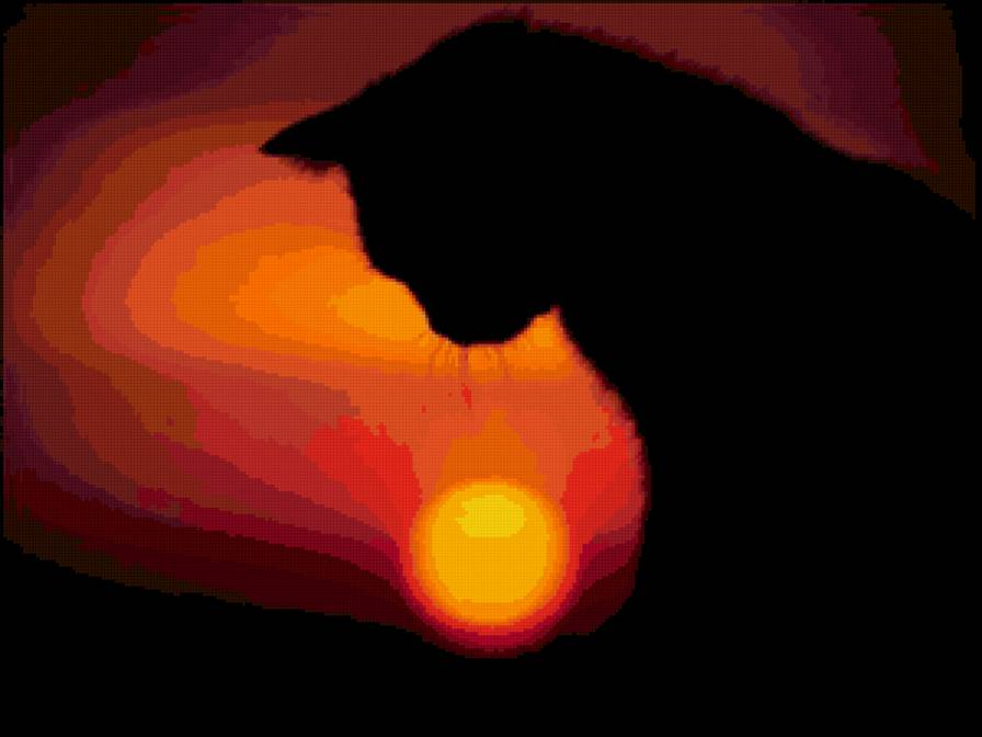 кошка - закат, солнце, черный, кошка - предпросмотр