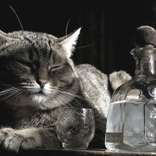 Схема вышивки «алкоголик»