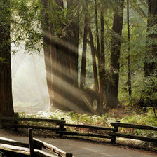 Схема вышивки «тропа»