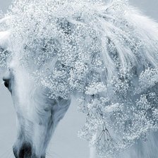 Схема вышивки «Лошадь»