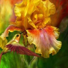 Схема вышивки «№122244»