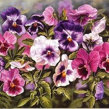 Схема вышивки «Анютины глазки»