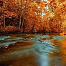 Схема вышивки «осень»
