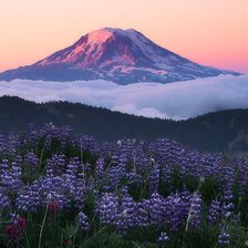 Схема вышивки «№122383»