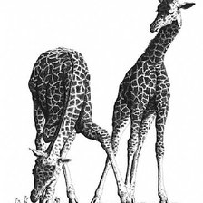 Схема вышивки «№122636»