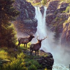 Схема вышивки «№122706»