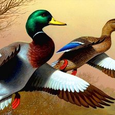 Схема вышивки «№122734»