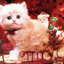 Схема вышивки «96»