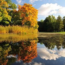 Схема вышивки «97»