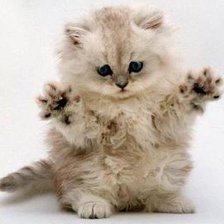 Схема вышивки «98»