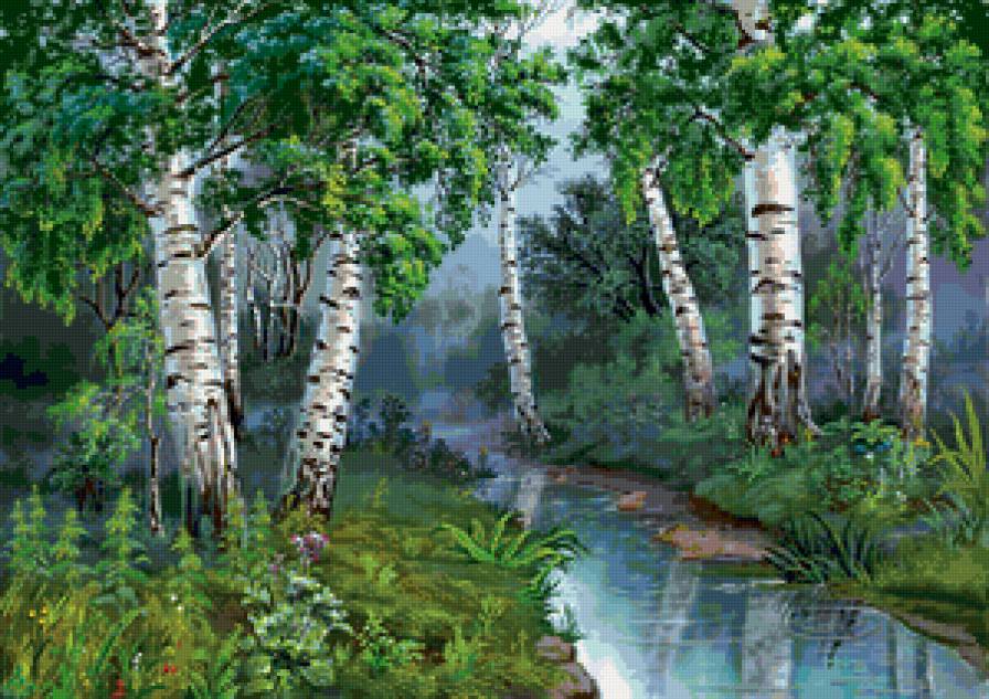 березки - природа, березки - предпросмотр