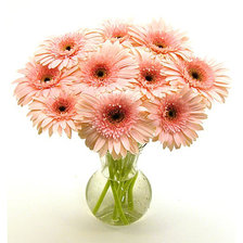 Схема вышивки «герберы»