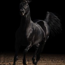 Схема вышивки «№123140»