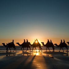 Схема вышивки «Караван»